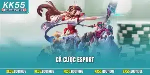 Cá Cược Esports KK55 Kiến Thức Nền Tảng Dành Cho Người Mới